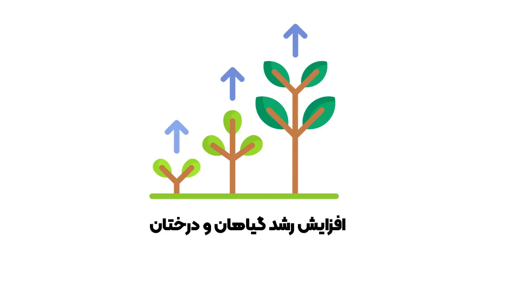 افزایش رشد گیاهان و درختان