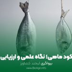 آنالیز کود مایع ماهی