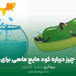 کود مایع ماهی برای خیار