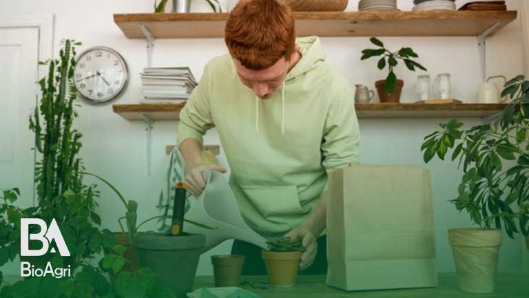 کود مایع برای گیاهان آپارتمانی