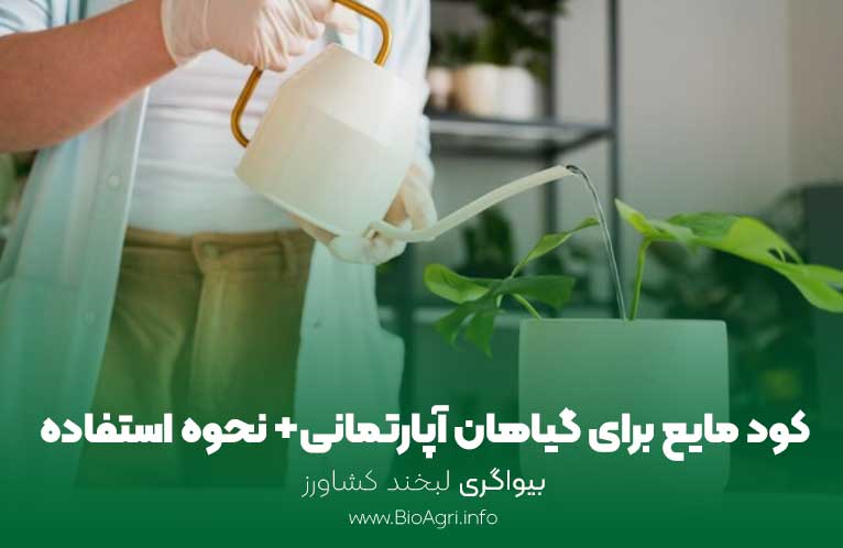 کود مایع برای گیاهان آپارتمانی