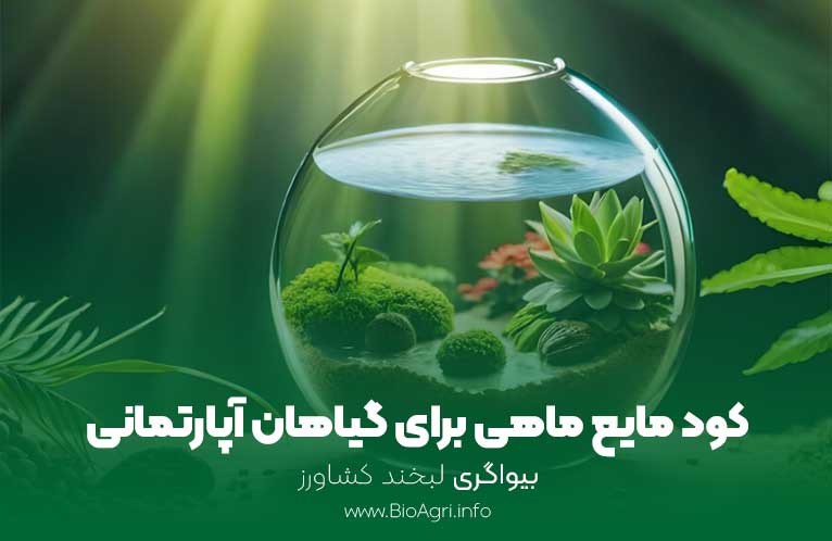 کود مایع ماهی برای گیاهان آپارتمانی