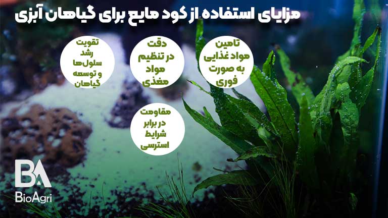 مزایای کود مایع برای گیاهان در آب