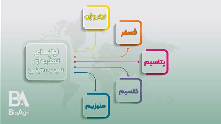 نیازهای تغذیه ای سیب زمینی