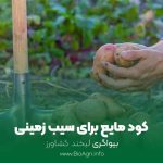 کود مایع برای سیب زمینی