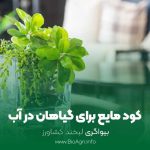 کود مایع برای گیاهان در آب