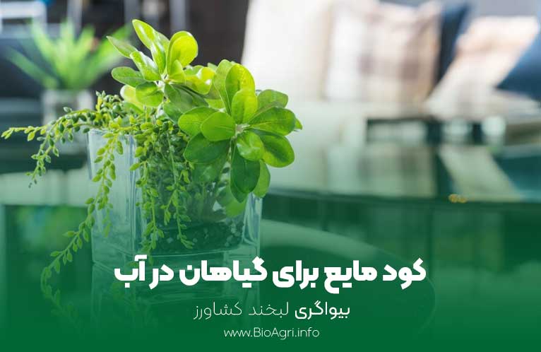 کود مایع برای گیاهان در آب