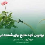 کود مایع برای شمعدانی