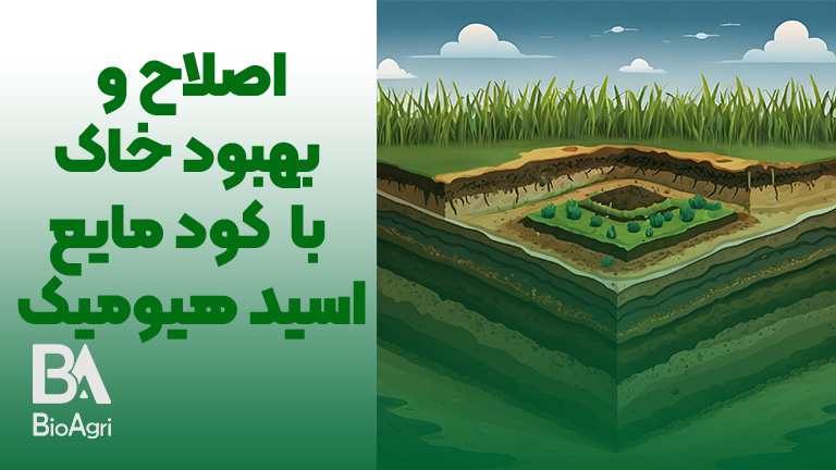 اصلاح خاک با کود هیومیک اسید مایع