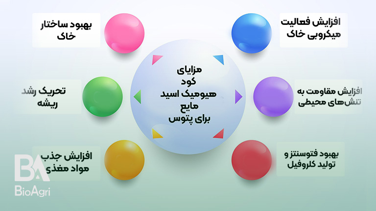 مزایای کود هیومیک اسید مایع برای پتوس