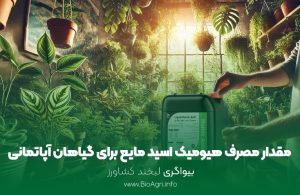 مقدار مصرف هیومیک اسید مایع برای گیاهان آپاتمانی