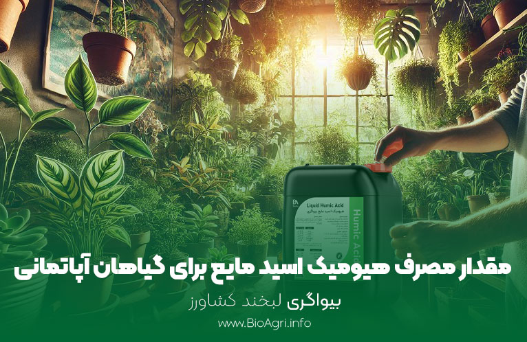 مقدار مصرف هیومیک اسید مایع برای گیاهان آپارتمانی