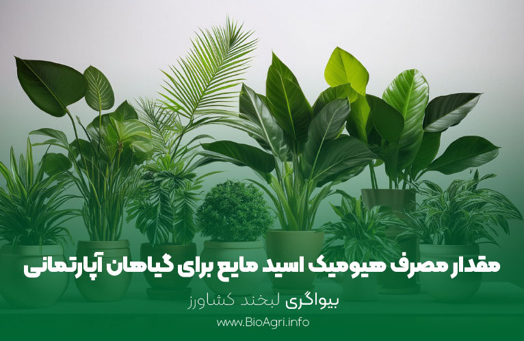 مقدار مصرف هیومیک اسید مایع برای گیاهان آپارتمانی