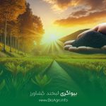 کود هیومیک اسید برای زعفران